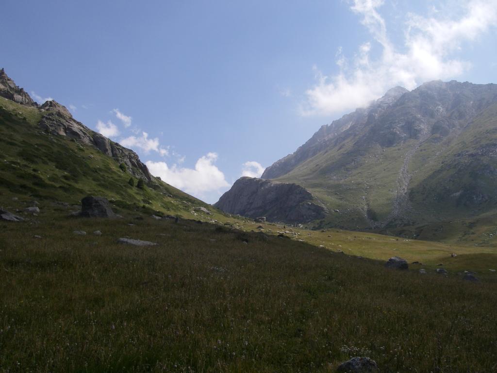 Каргалинское ущелье, image of landscape/habitat.