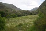 Урочище Тавкветула, image of landscape/habitat.