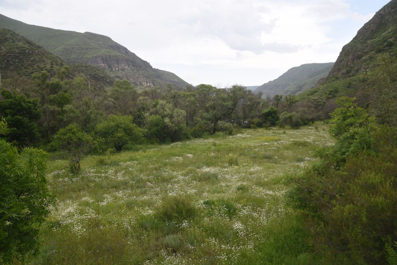 Урочище Тавкветула, image of landscape/habitat.