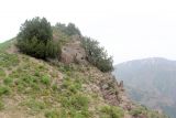 Image of landscape