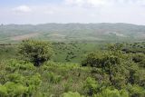 Image of landscape