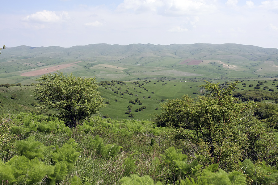 Боролдайтау - северный склон, image of landscape/habitat.