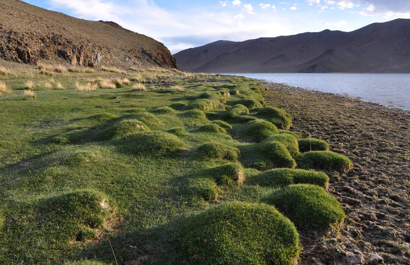 Озеро Дунд-Нуур, image of landscape/habitat.