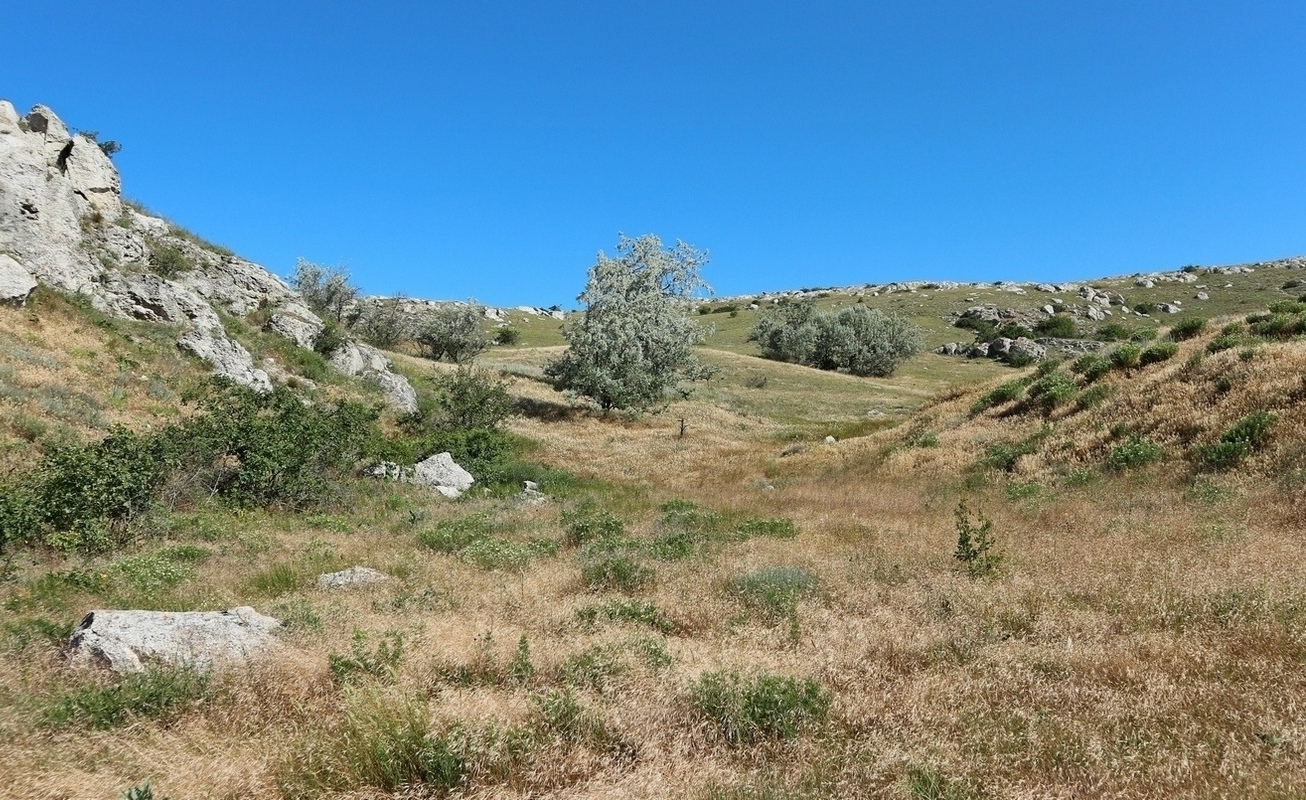 Казантип, image of landscape/habitat.