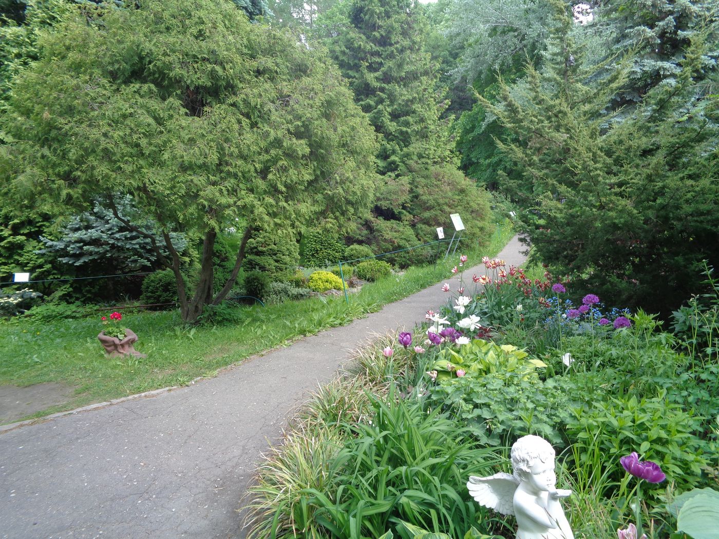 Тверской ботанический сад, изображение ландшафта.