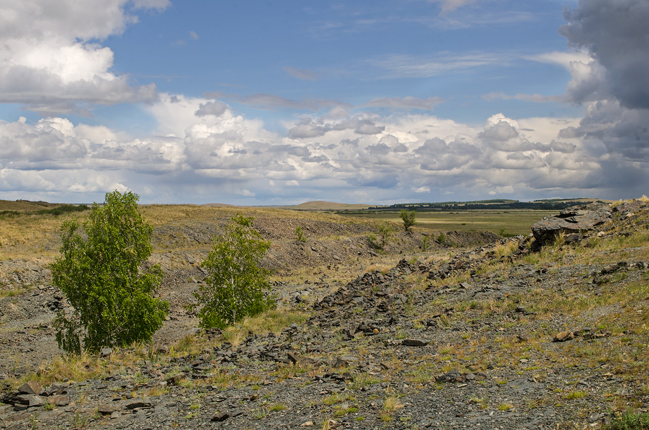 Аркаим, image of landscape/habitat.