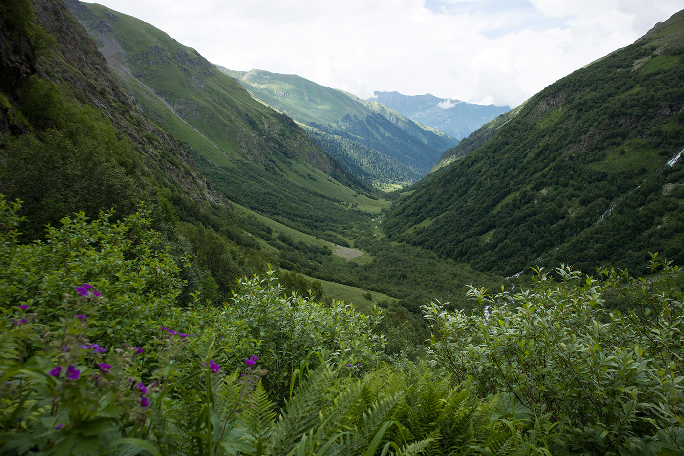 Имеретинское ущелье, image of landscape/habitat.