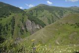 Image of landscape
