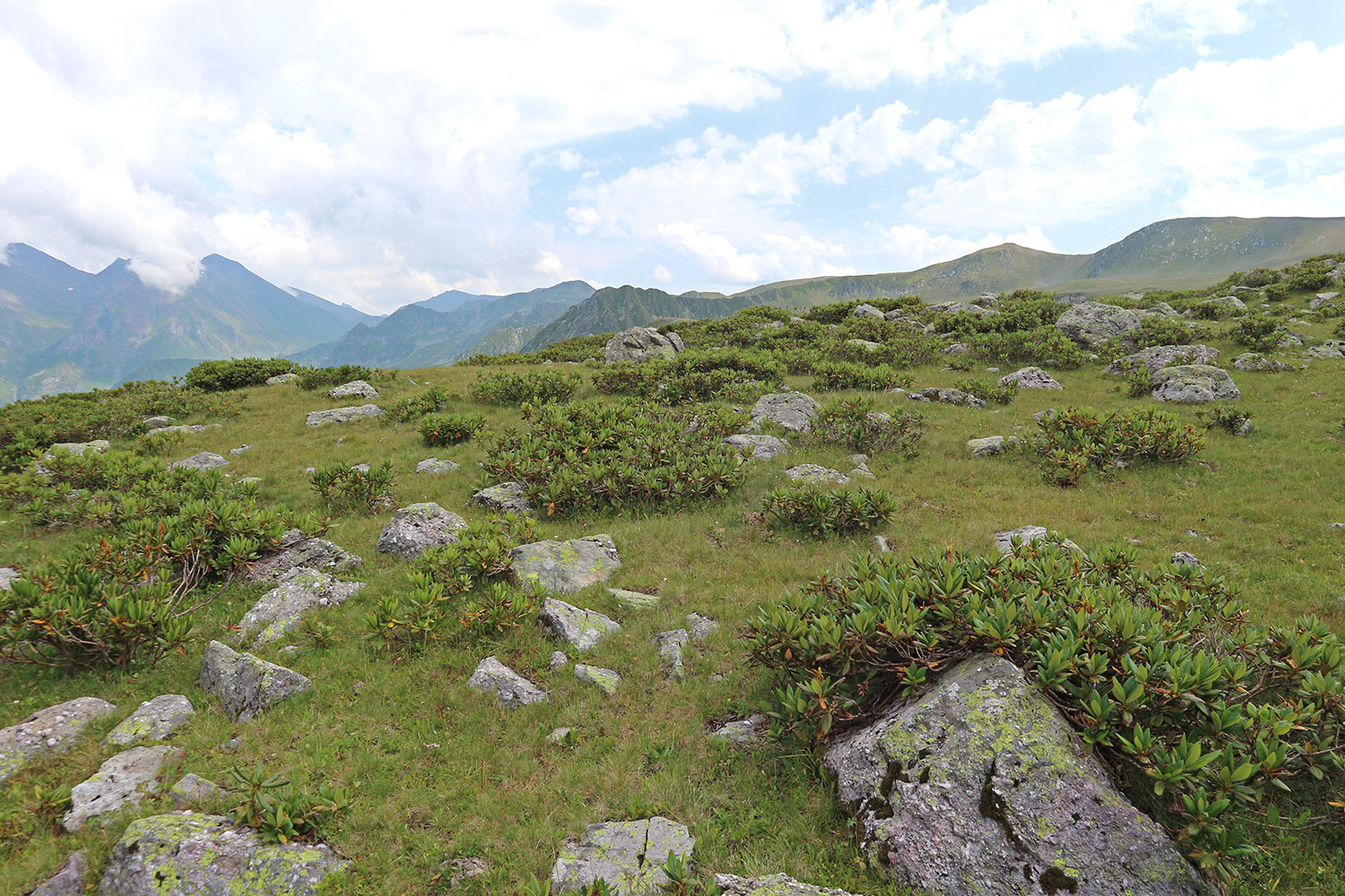 Ацгарские озёра, image of landscape/habitat.