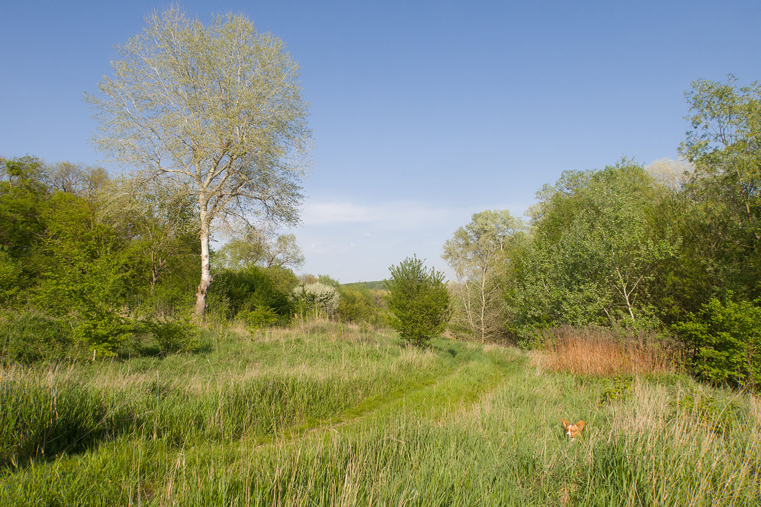 Река Неберджай, image of landscape/habitat.