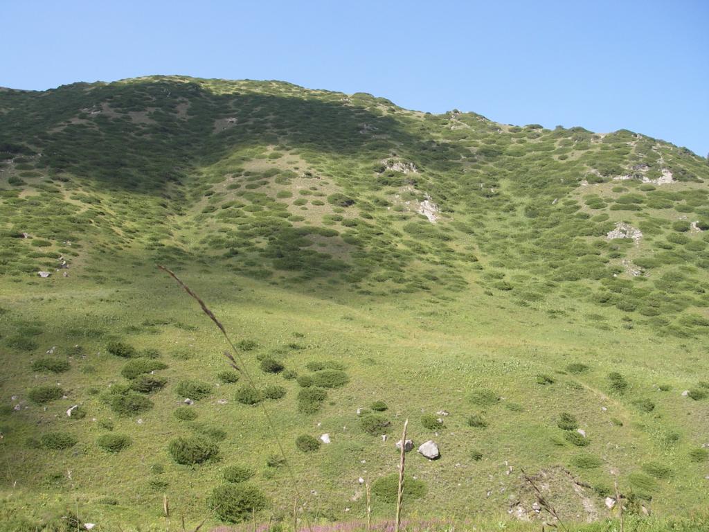 Каргалинское ущелье, изображение ландшафта.