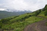 Лес между Хакмадой и Хочелдой, image of landscape/habitat.