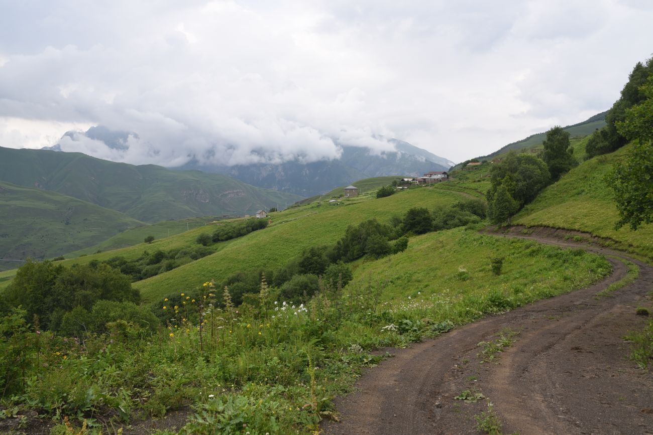 Лес между Хакмадой и Хочелдой, image of landscape/habitat.