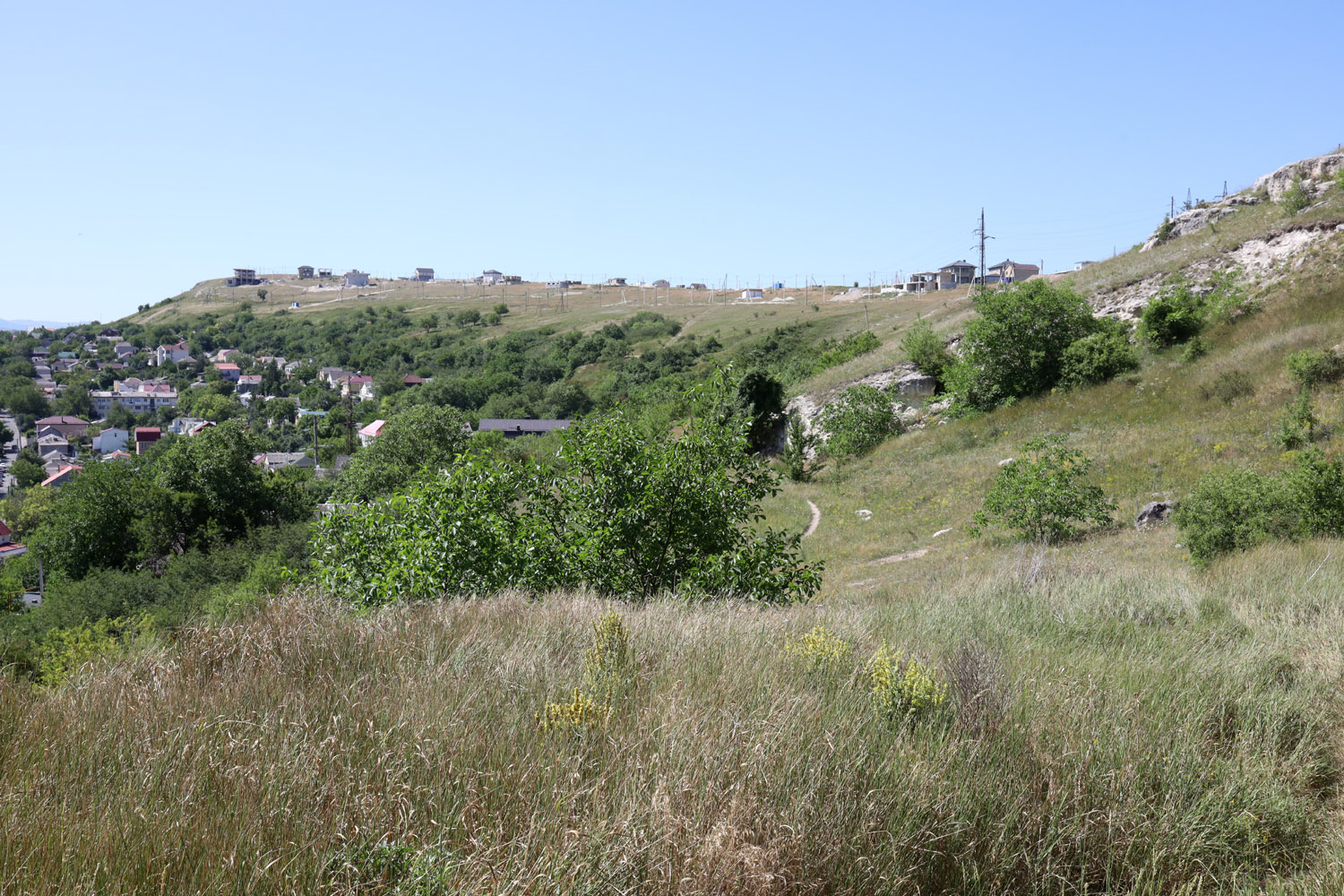 Марьино, image of landscape/habitat.