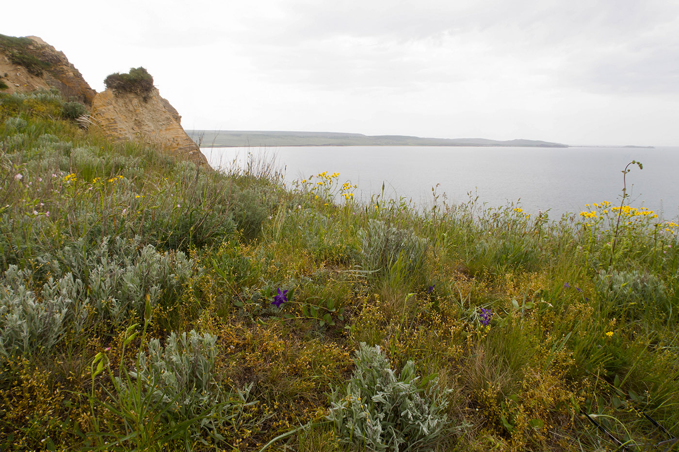 Мыс Тархан, изображение ландшафта.