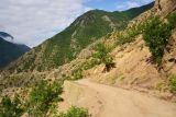 Image of landscape
