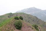 Image of landscape