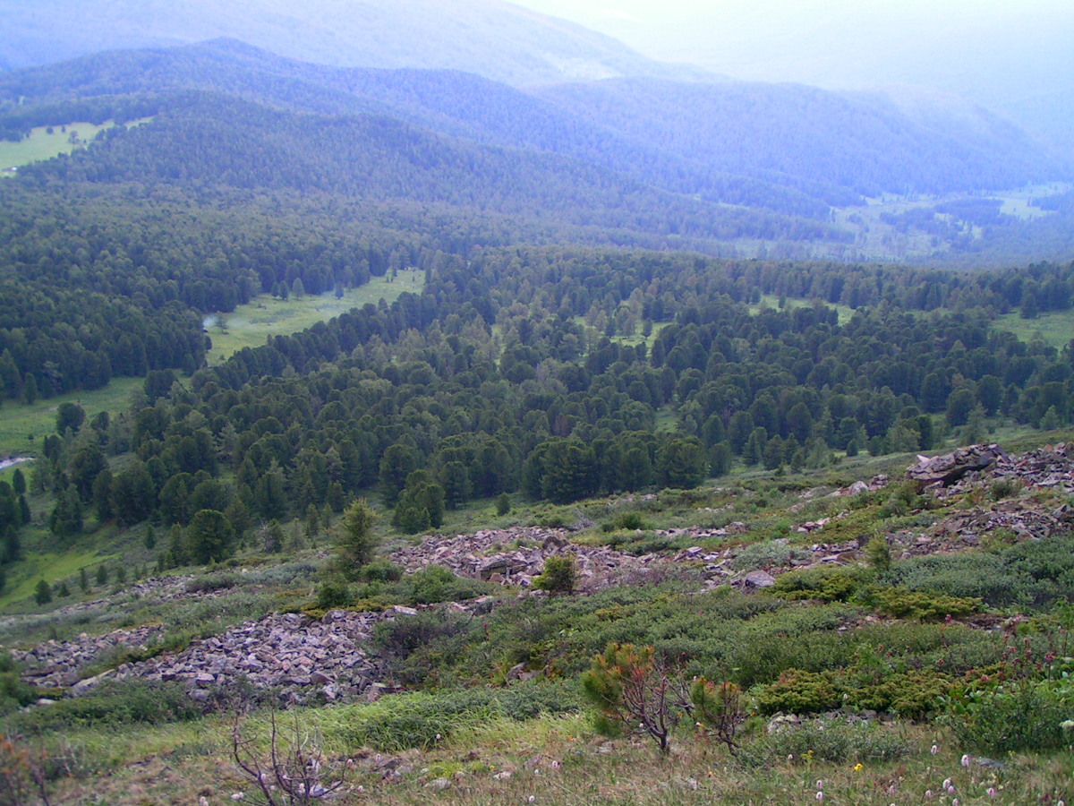 Верховья реки Курота, image of landscape/habitat.