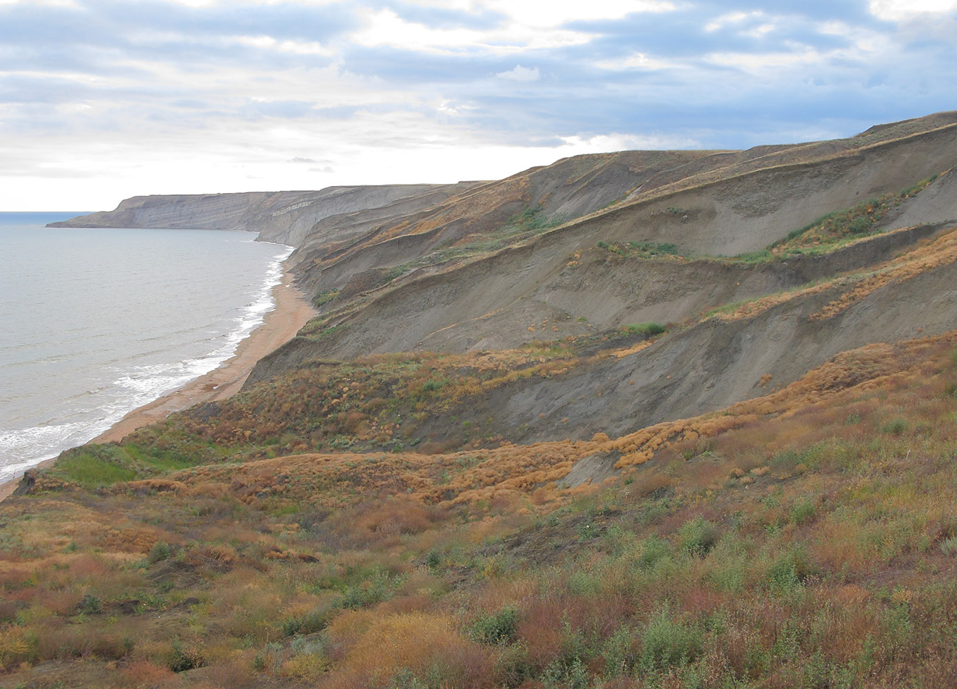 Железный Рог, image of landscape/habitat.