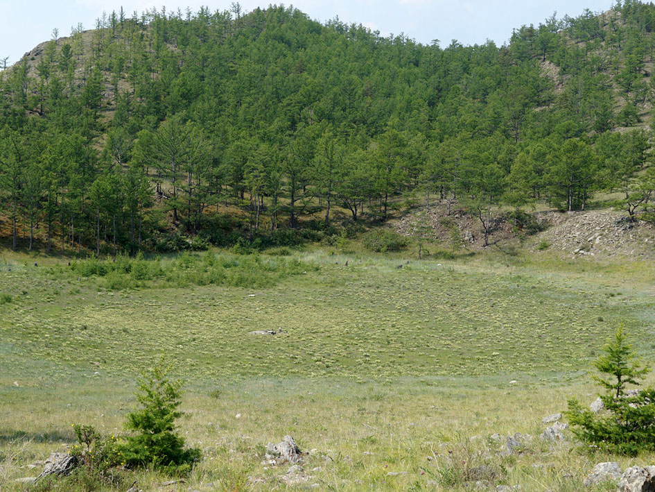 Окрестности базы Чара, image of landscape/habitat.