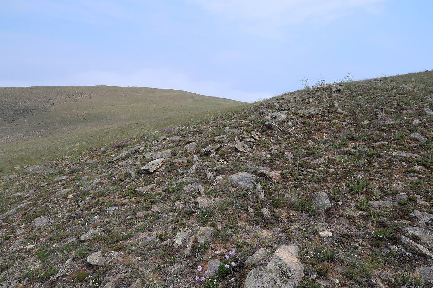 Тажеранская степь, image of landscape/habitat.