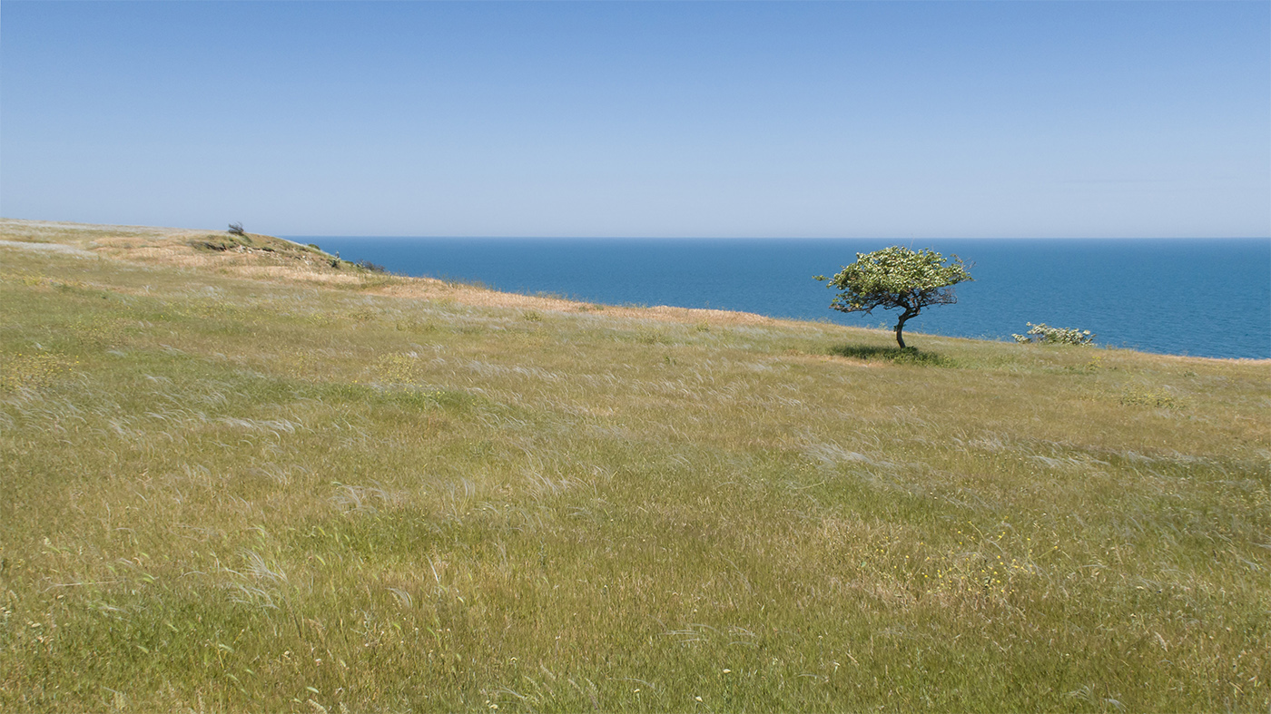 Окрестности Осовин, image of landscape/habitat.