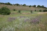 Image of landscape