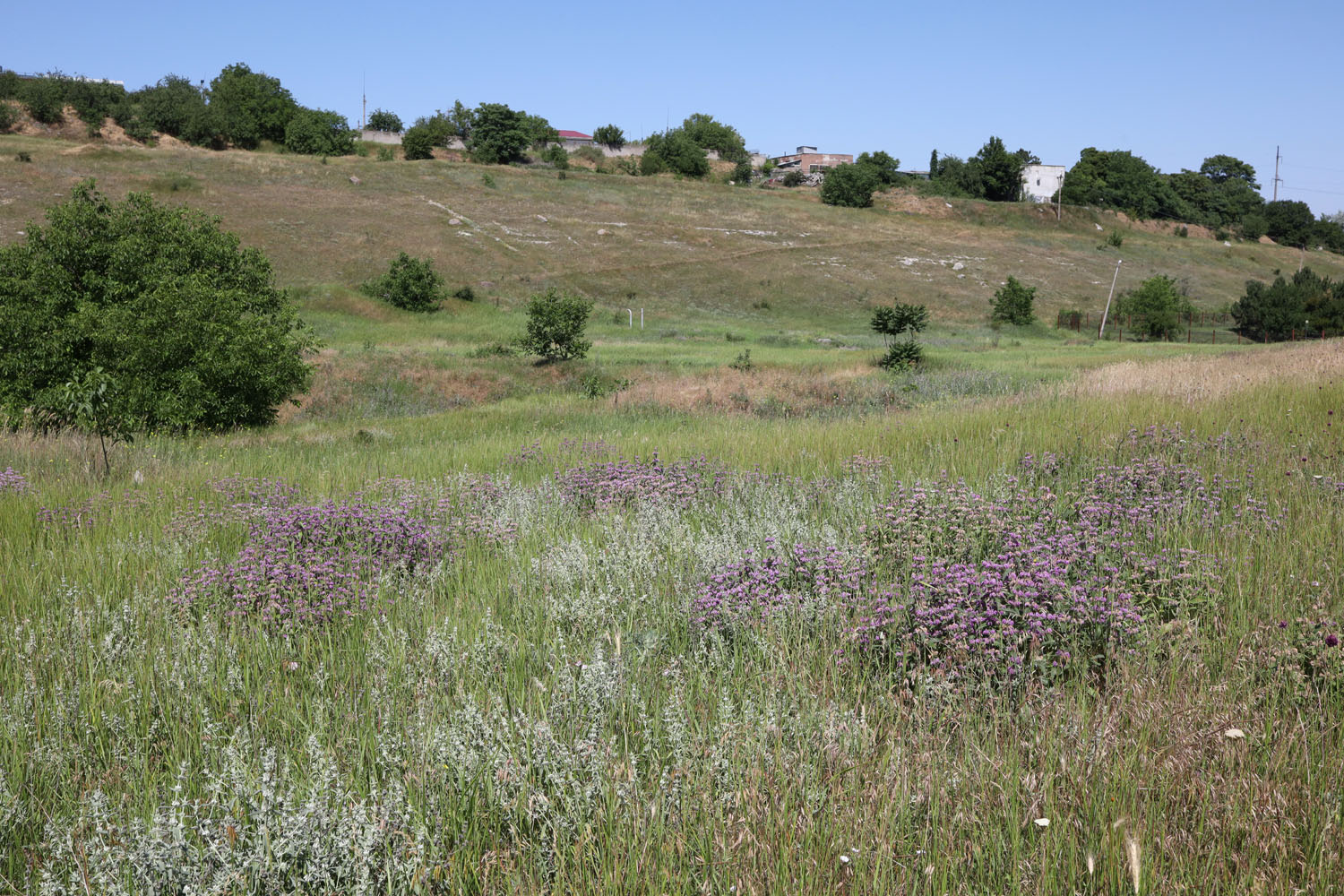 Марьино, image of landscape/habitat.