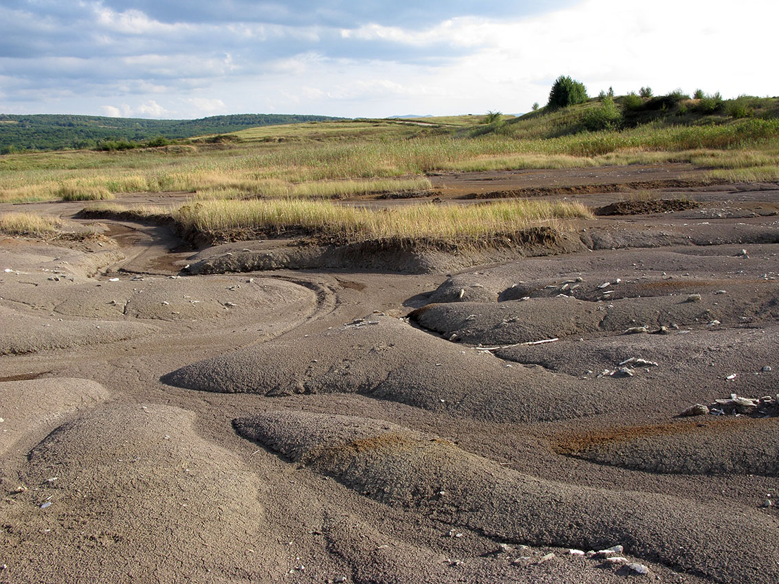 Глиняный карьер, image of landscape/habitat.