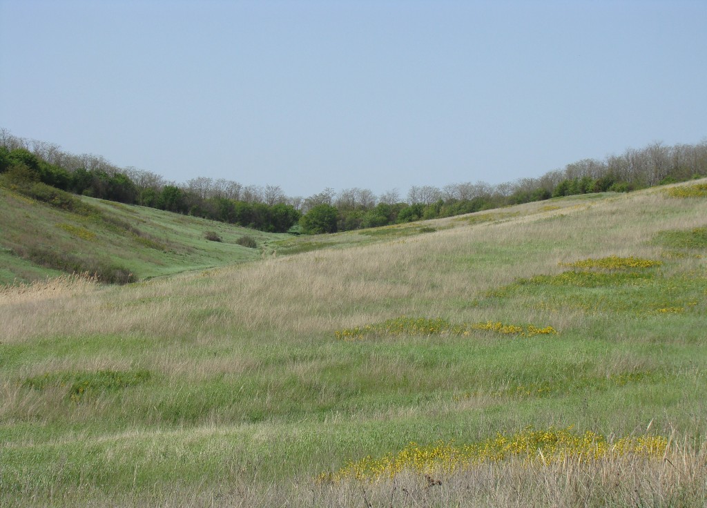 Урочище Бугелы, image of landscape/habitat.