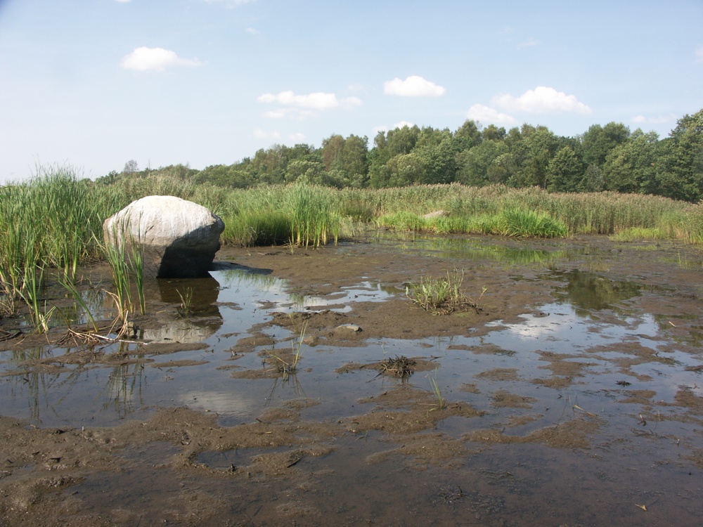 Лисий Нос, image of landscape/habitat.