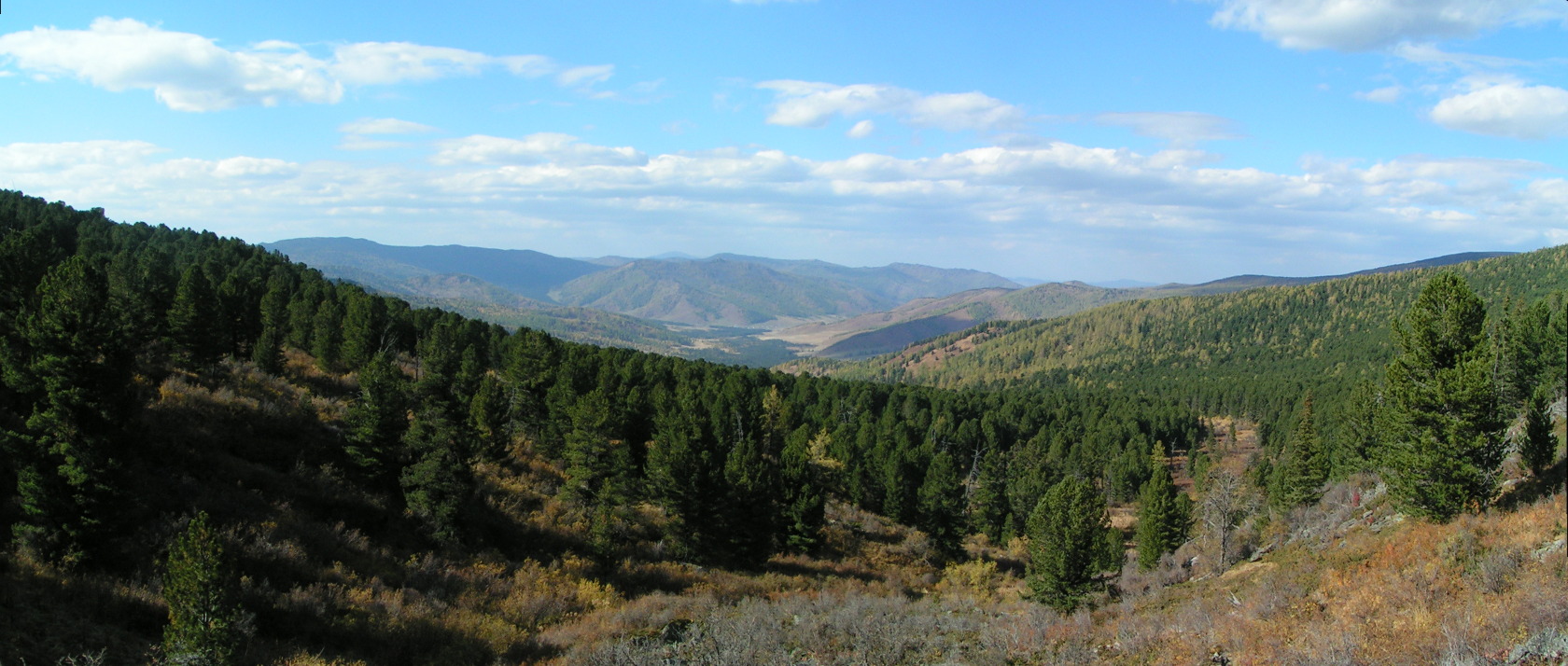 Урочище Обуток, image of landscape/habitat.