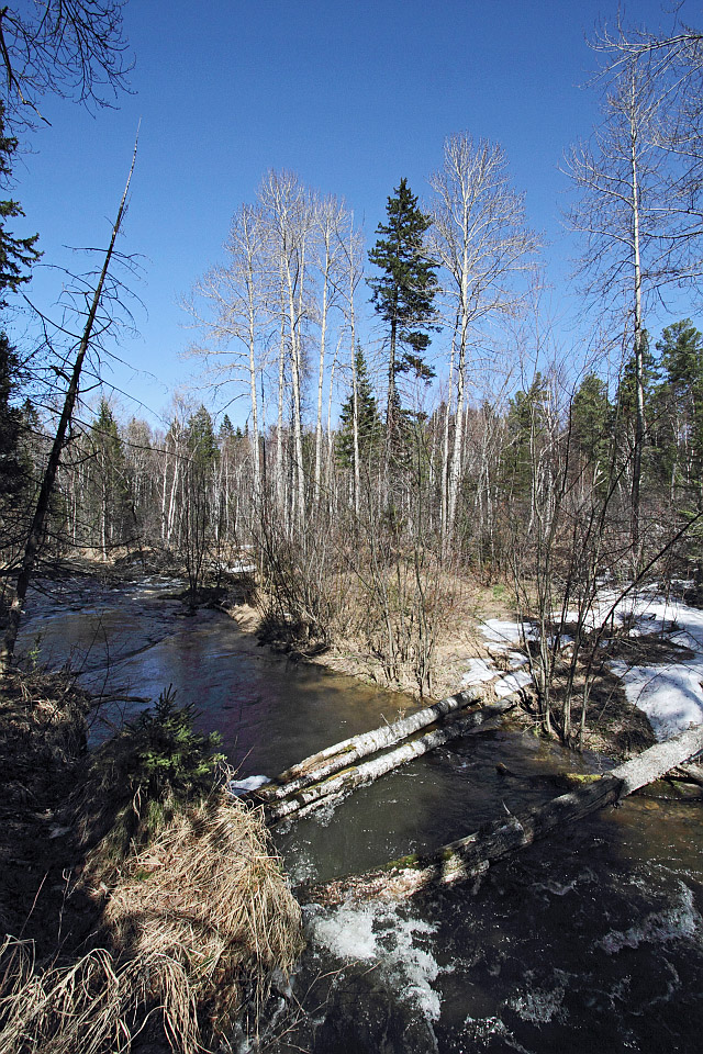 Тропа на "Чум", image of landscape/habitat.