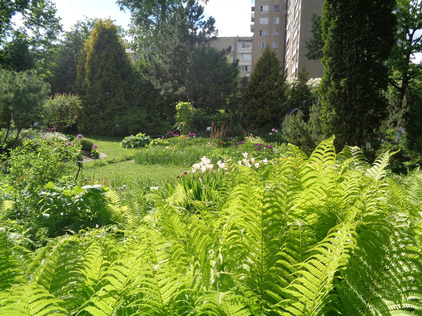 Тверской ботанический сад, image of landscape/habitat.