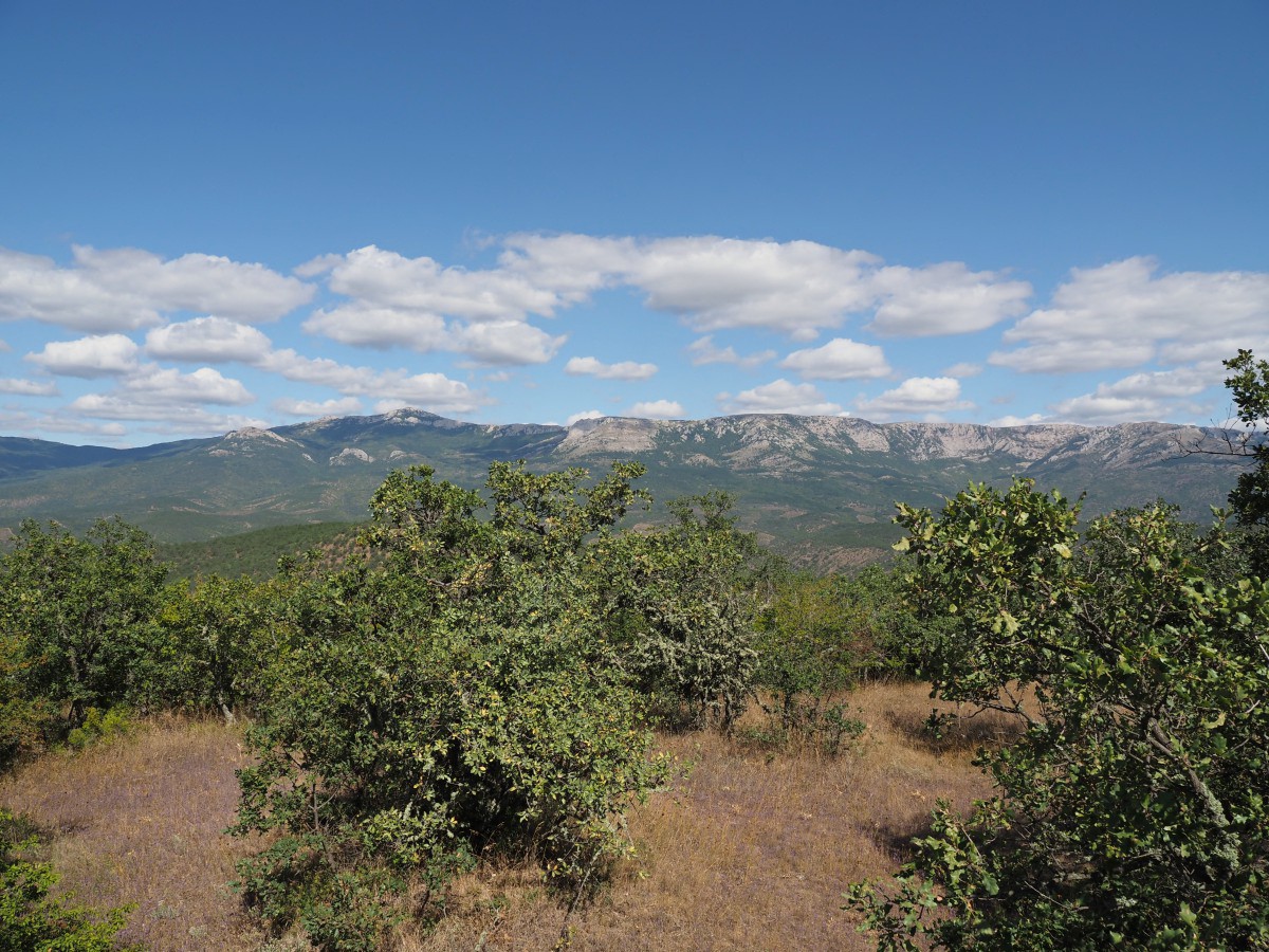 Малореченское и окрестности, image of landscape/habitat.