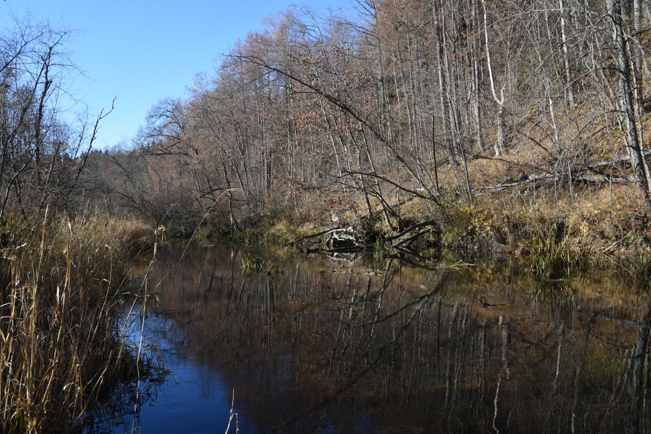 Окрестности деревни Семичёво, image of landscape/habitat.