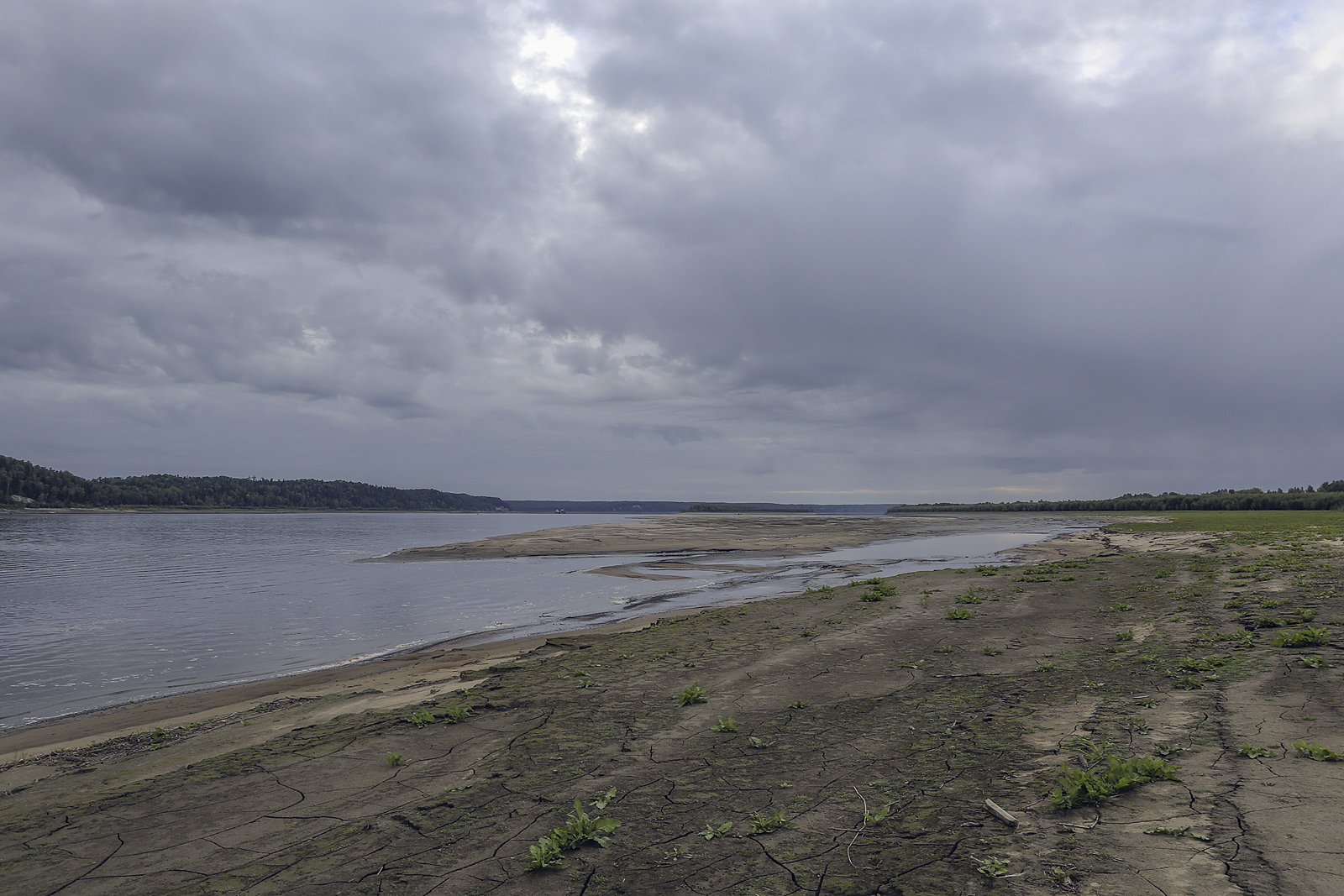 Окрестности Горнореченска, image of landscape/habitat.