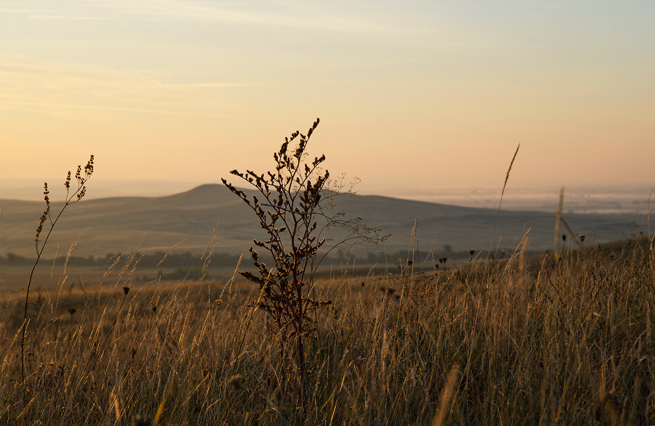 Долгие горы, image of landscape/habitat.
