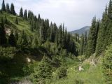 Image of landscape