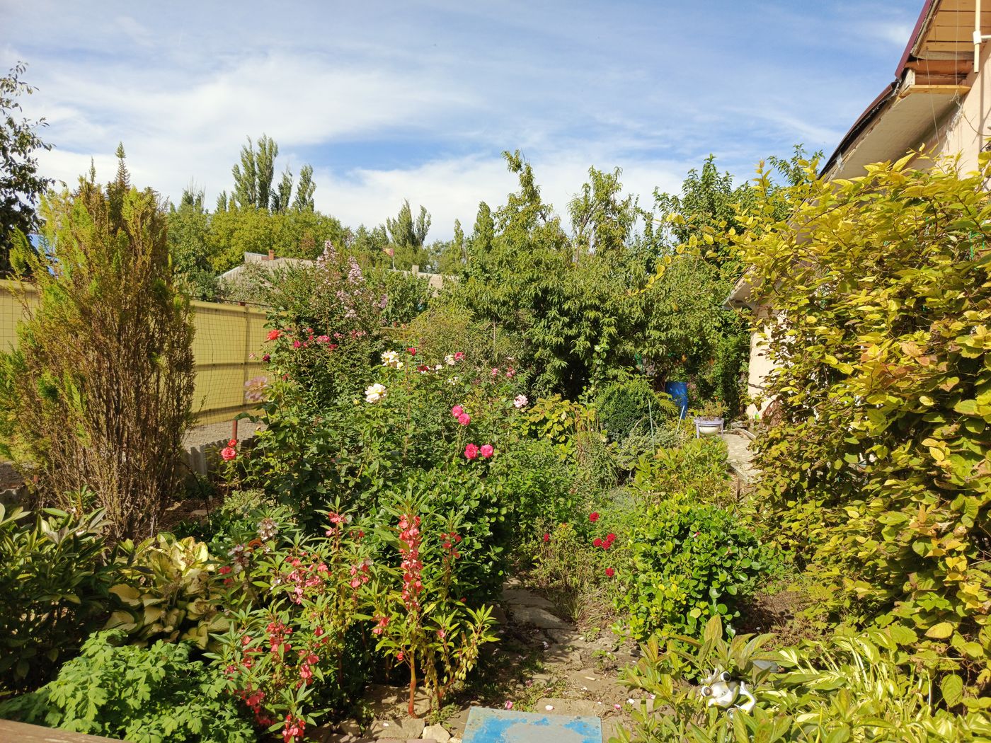 Красноармейский район Волгограда, image of landscape/habitat.