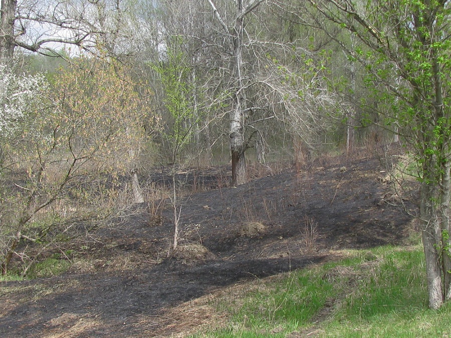 Космическая балка, image of landscape/habitat.