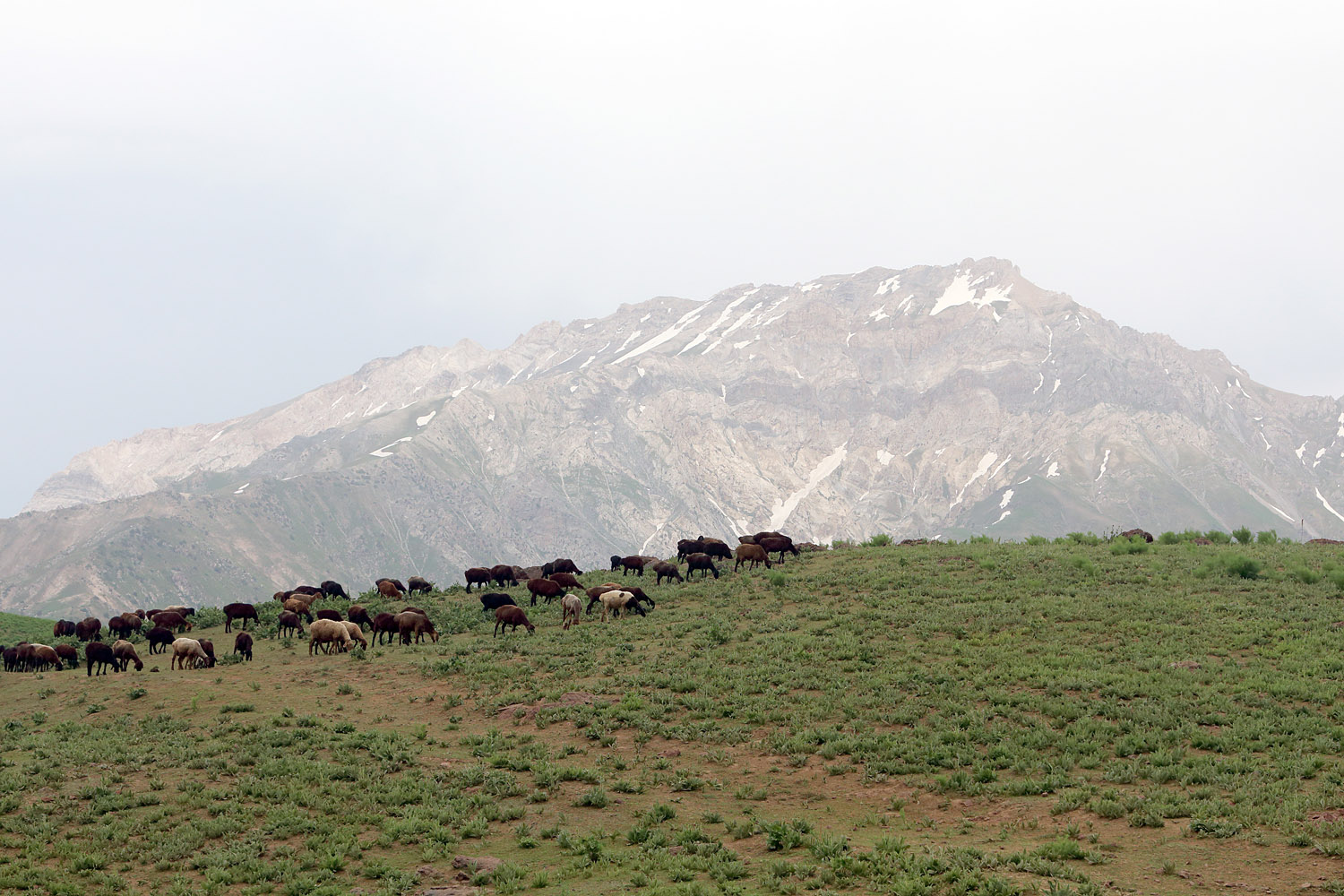 Верховье Бельдерсая, image of landscape/habitat.