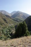 Image of landscape