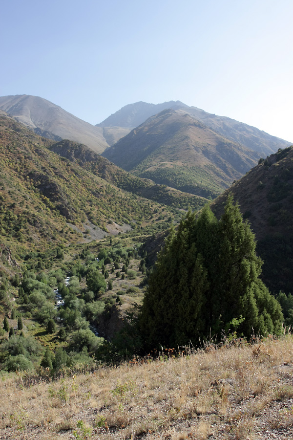 Ущелье Коксай, image of landscape/habitat.