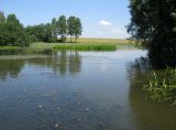 Шопша, image of landscape/habitat.