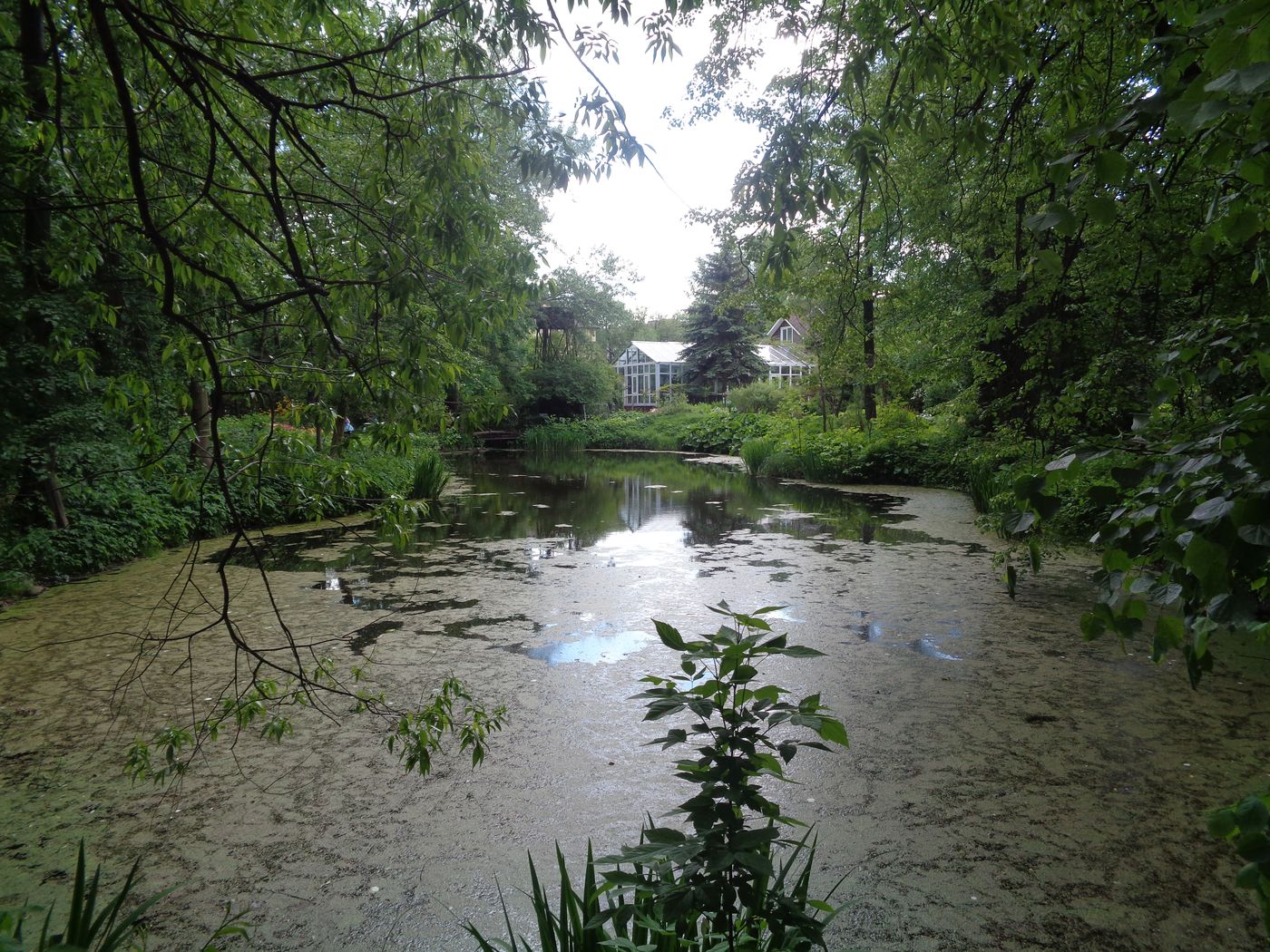 Тверской ботанический сад, изображение ландшафта.