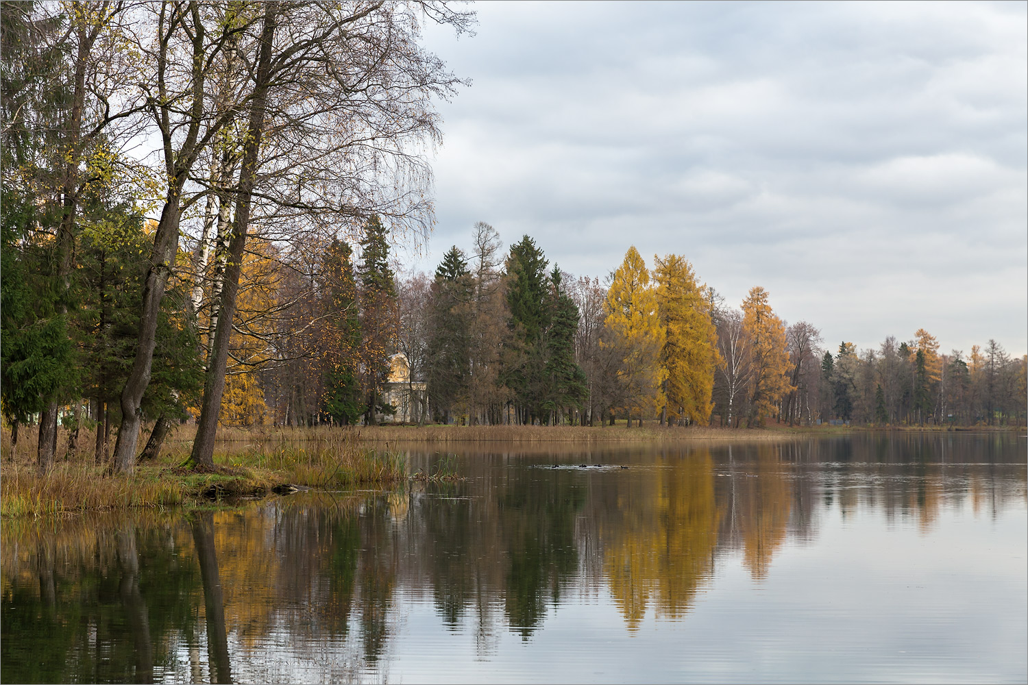 Гатчинские парки, image of landscape/habitat.