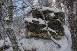 Image of landscape