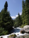Image of landscape