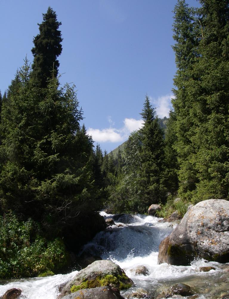 Каргалинское ущелье, image of landscape/habitat.